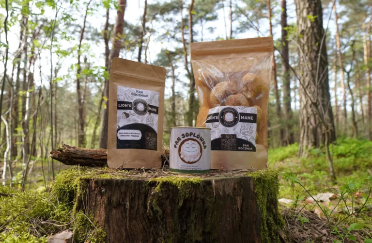 Lion's mane - soplówka jeżowata suszona, soplówka jeżowata mielona, pan soplówka