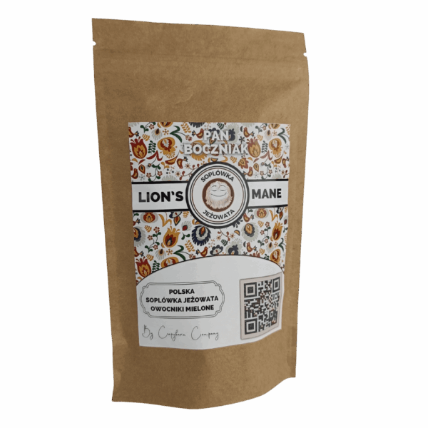 polska soplówka jeżowata soplówka jeżowata z polskich upraw