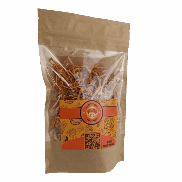 kordyceps suszony 100g Kordyceps, cordyceps militaris
