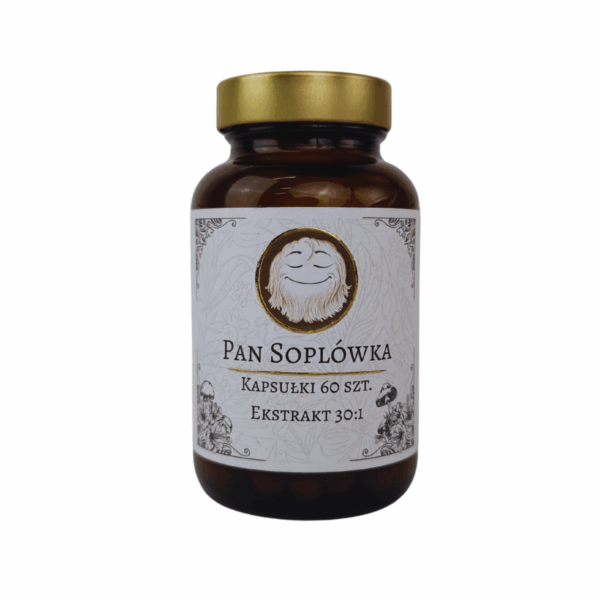 Lion's mane ekstrakt kapsułki 60 sztuk