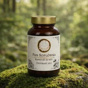 Słoiczek kapsułek Lion’s Mane (soplówka jeżowata) ekstrakt 30:1 – 60 kapsułek, na omszonym kamieniu w lesie