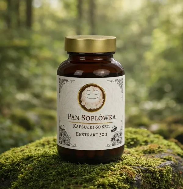 Słoiczek kapsułek Lion’s Mane (soplówka jeżowata) ekstrakt 30:1 – 60 kapsułek, na omszonym kamieniu w lesie