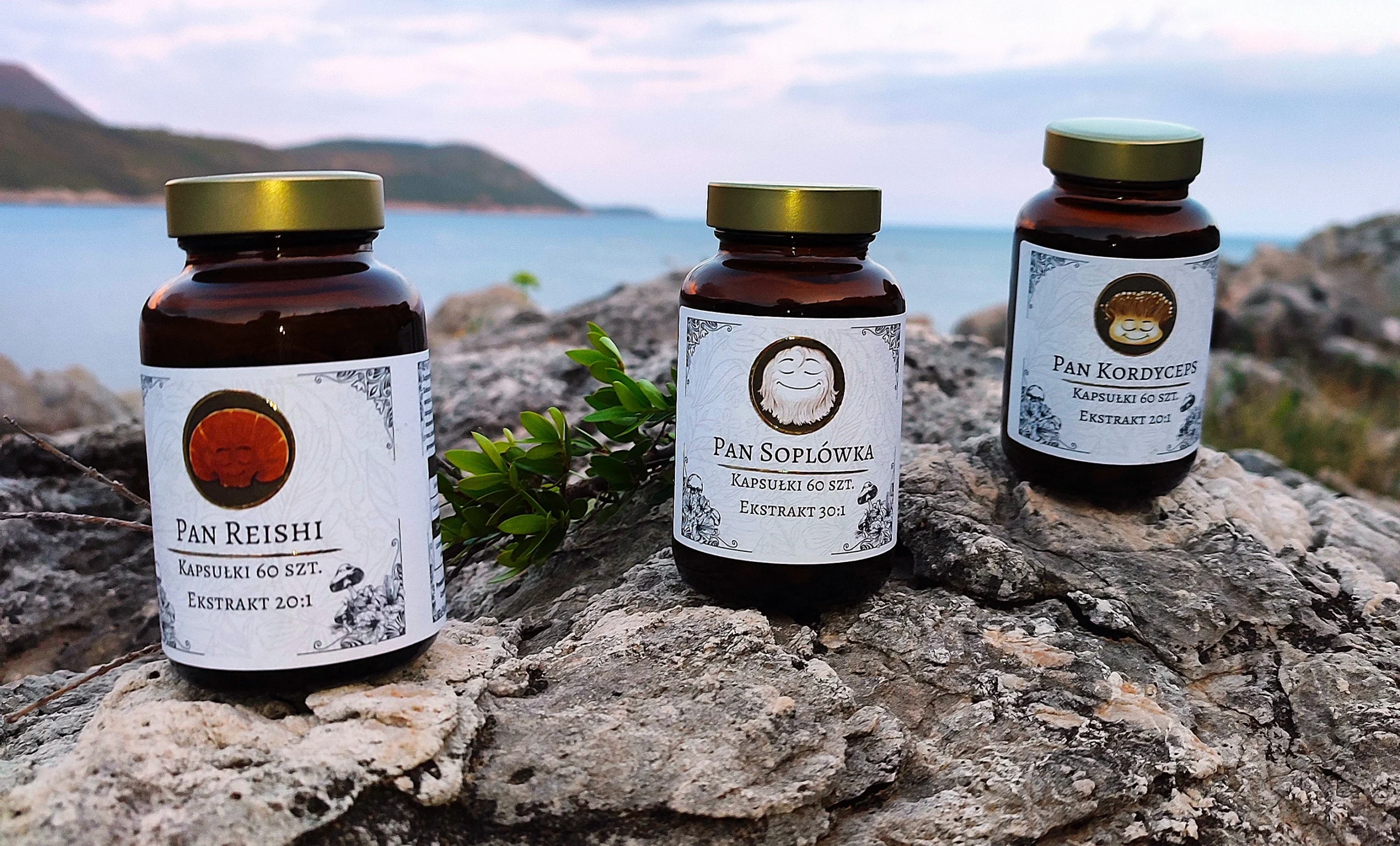 kapsułki reishi lion's mane kordyceps